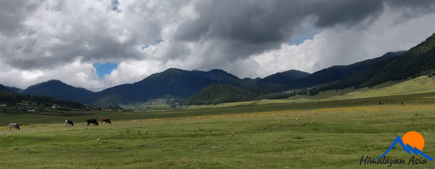 Phobjika-Gangtey-Valley